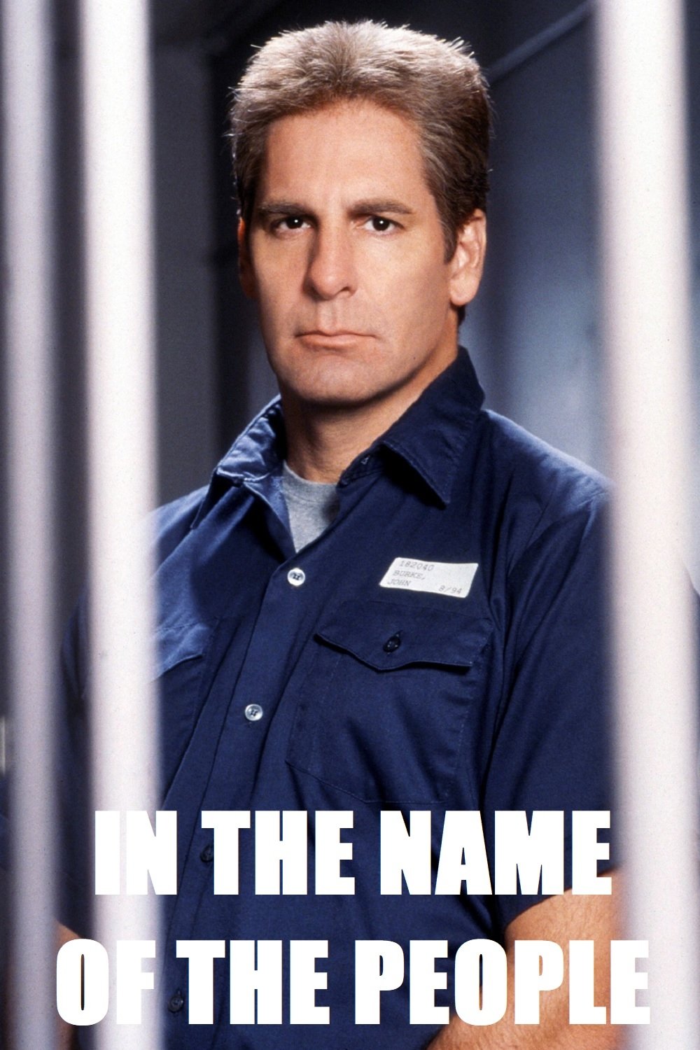 In the Name of the People photo