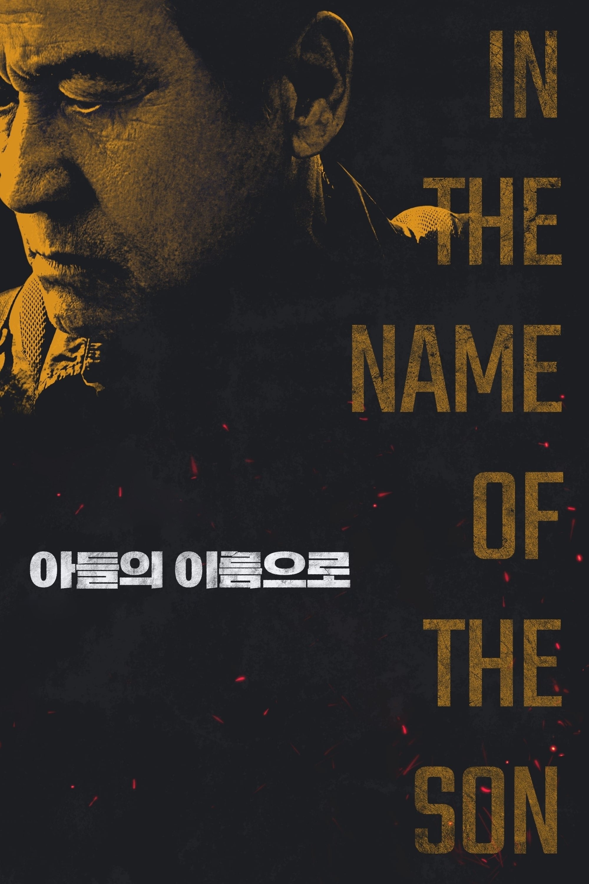 In the Name of the Son photo