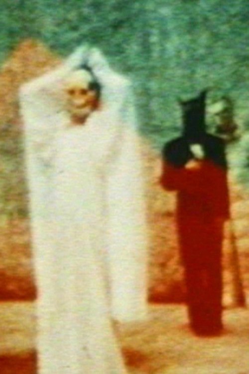 In the Shadow of the Sun photo