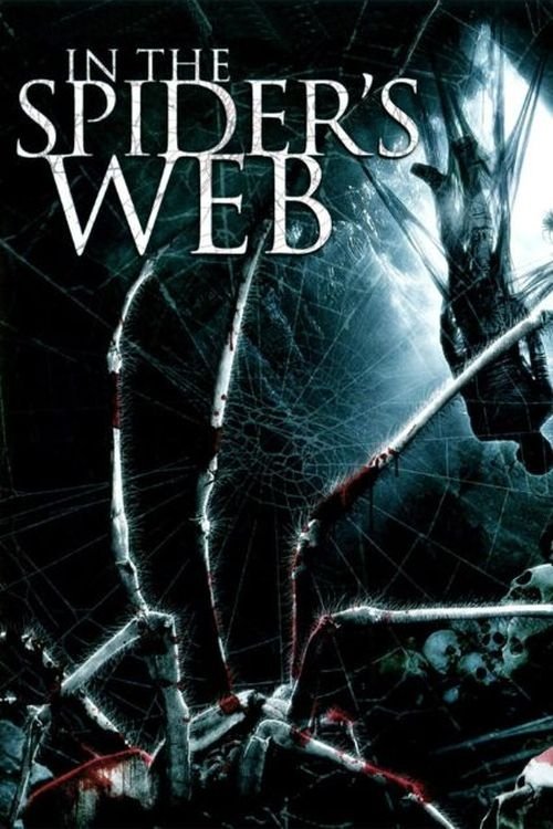 In the Spider's Web photo