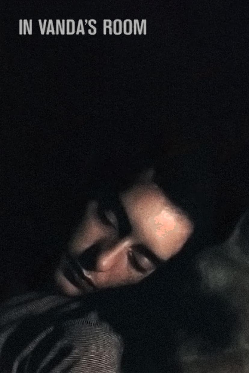 In Vanda's Room photo