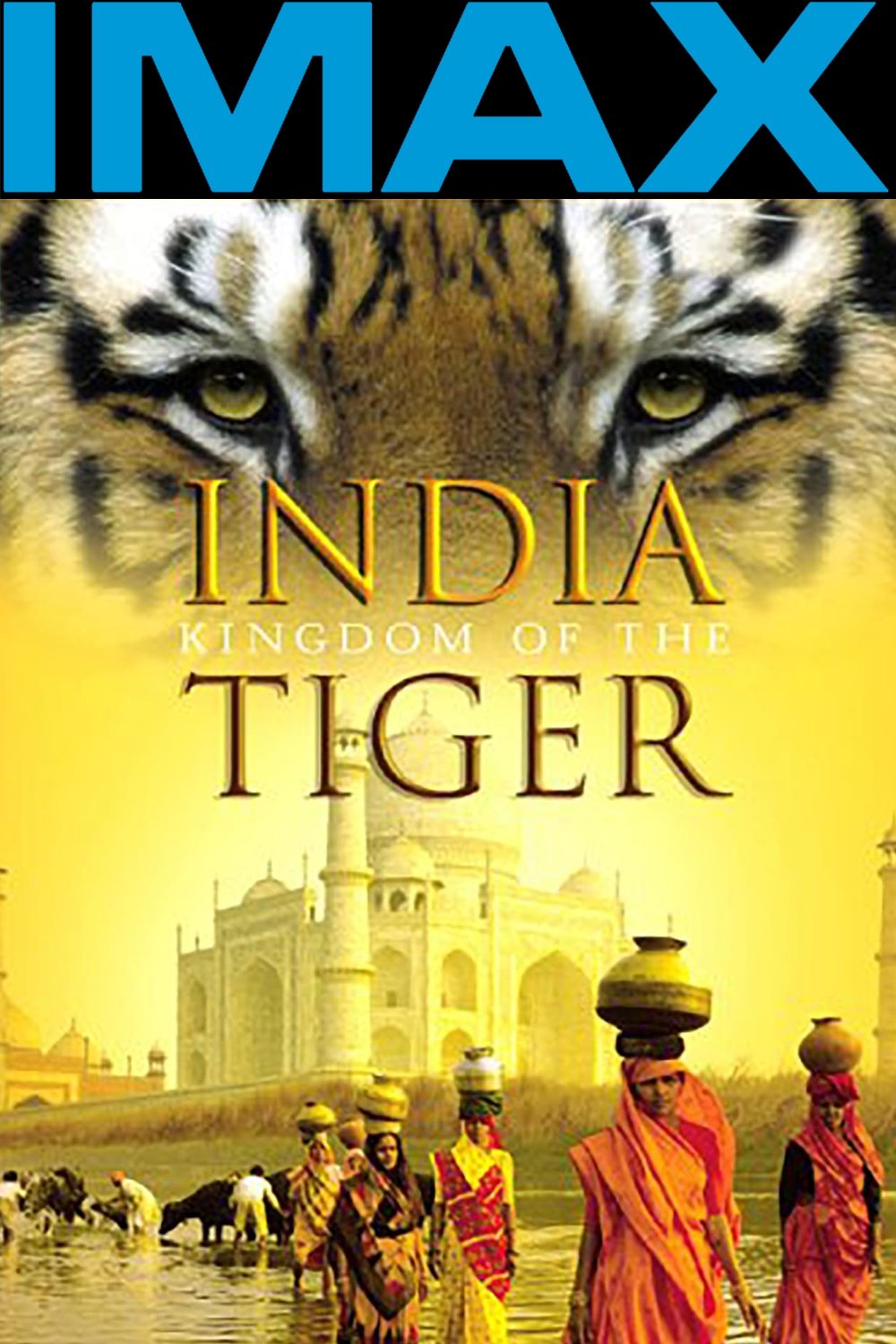 India: Kingdom of the Tiger photo