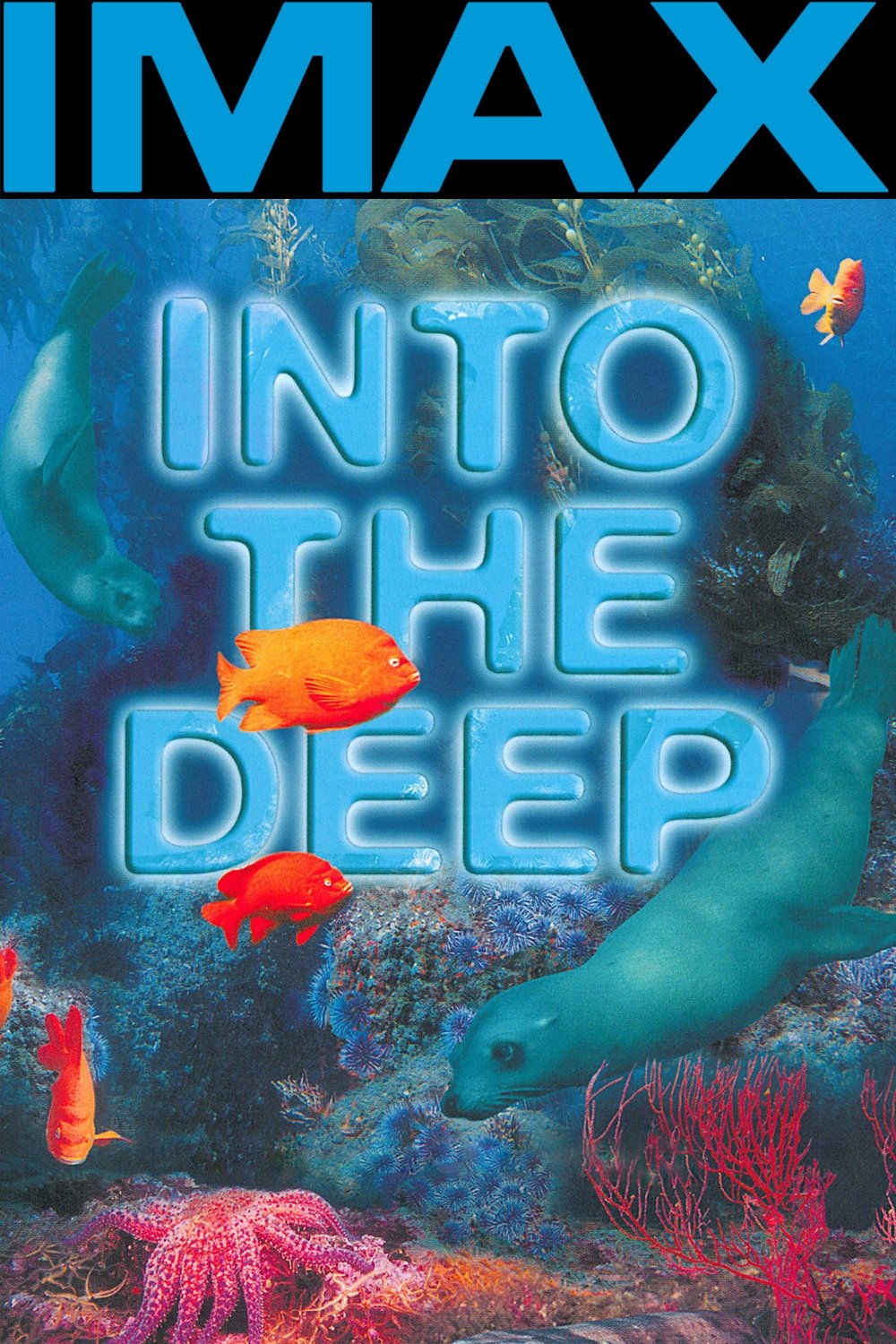 Into the Deep photo