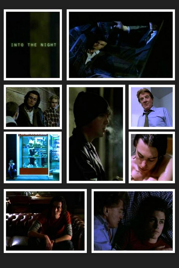 Into the Night photo