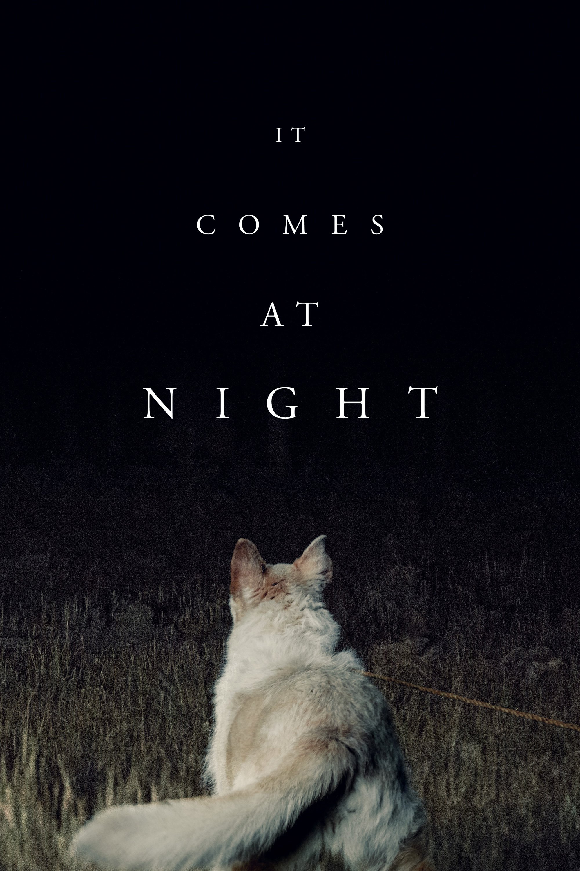It Comes at Night photo