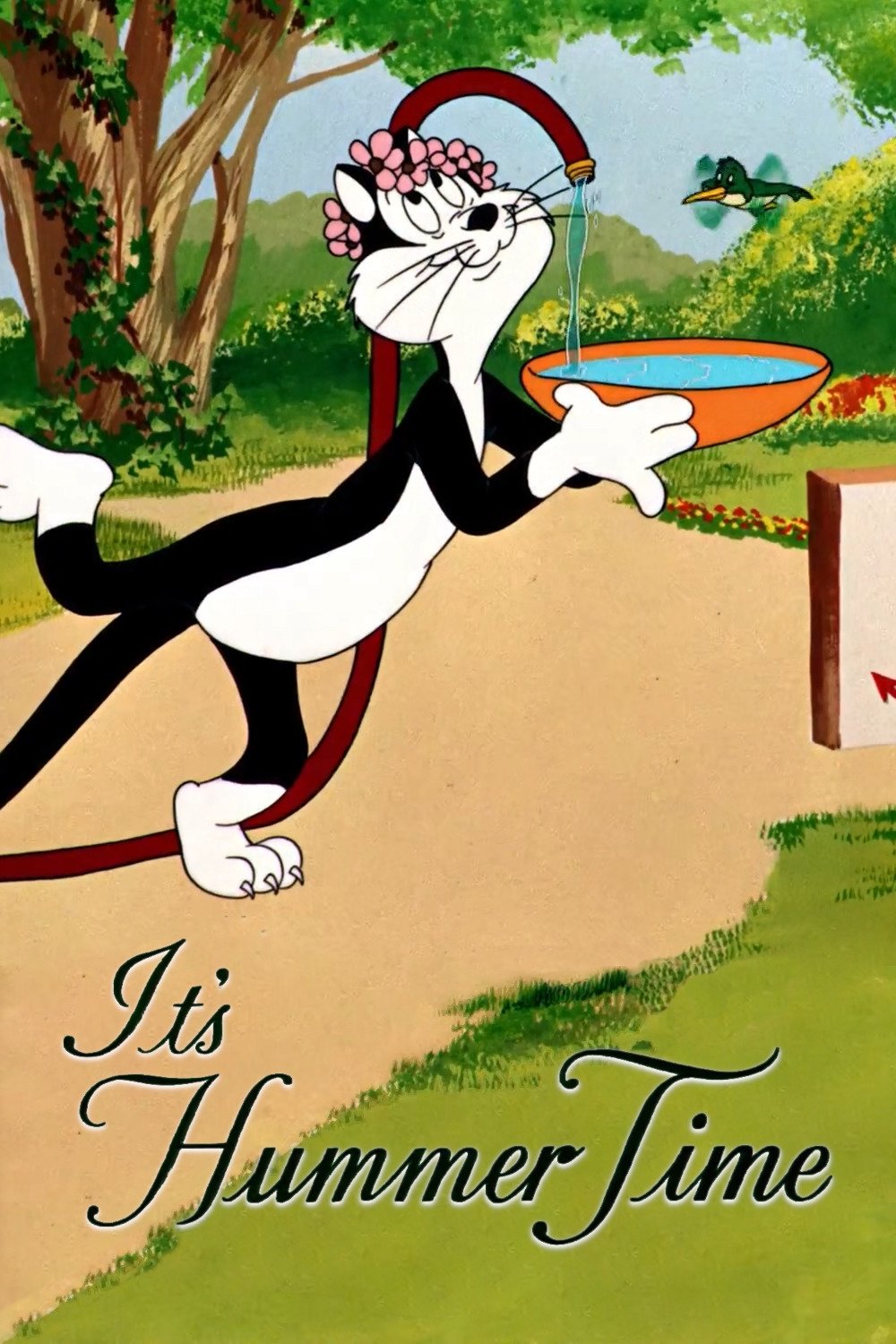 It's Hummer Time photo