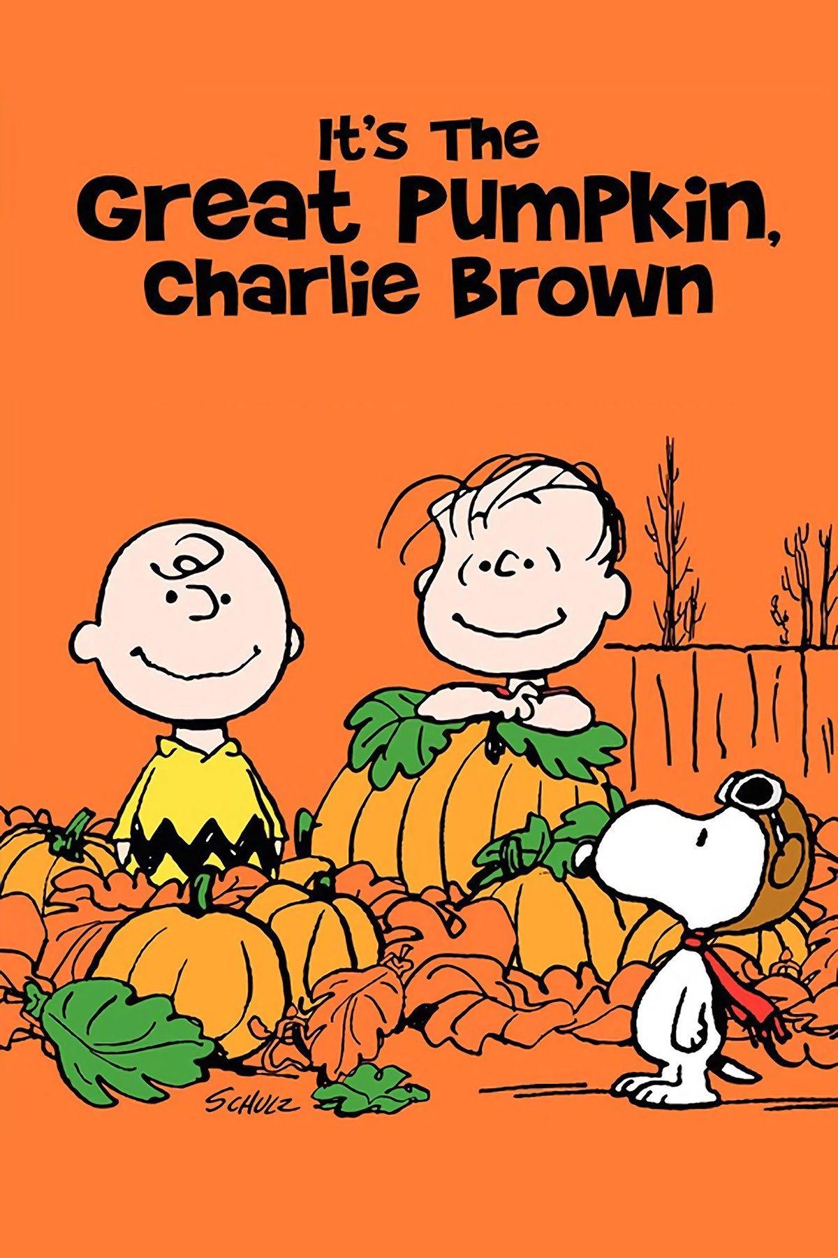 It's the Great Pumpkin, Charlie Brown photo