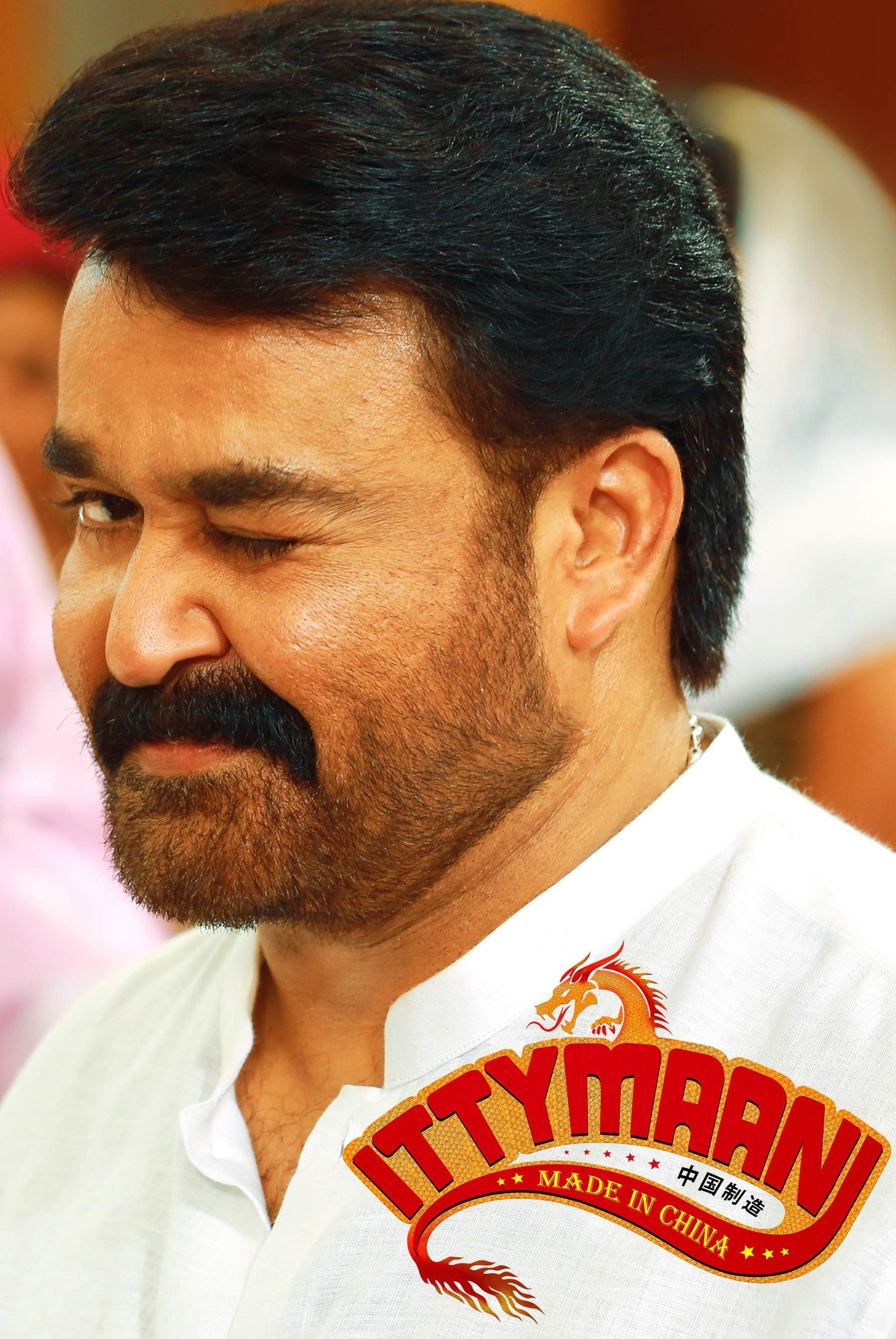 Ittymaani: Made In China photo