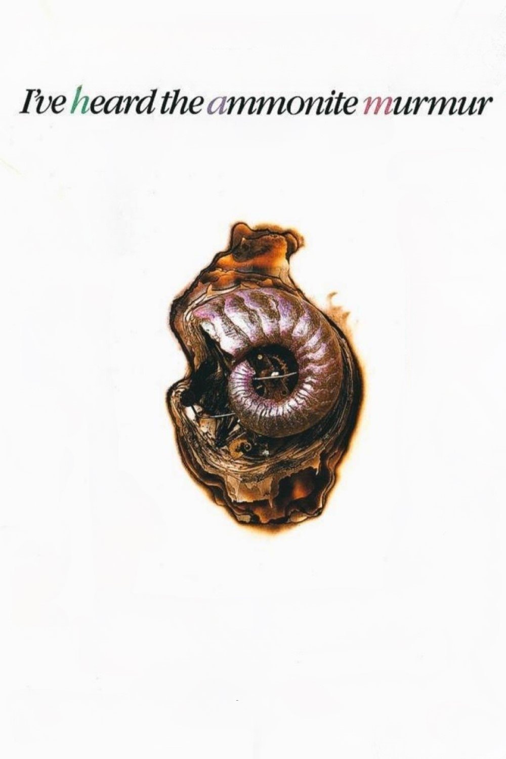 I've Heard the Ammonite Murmur photo