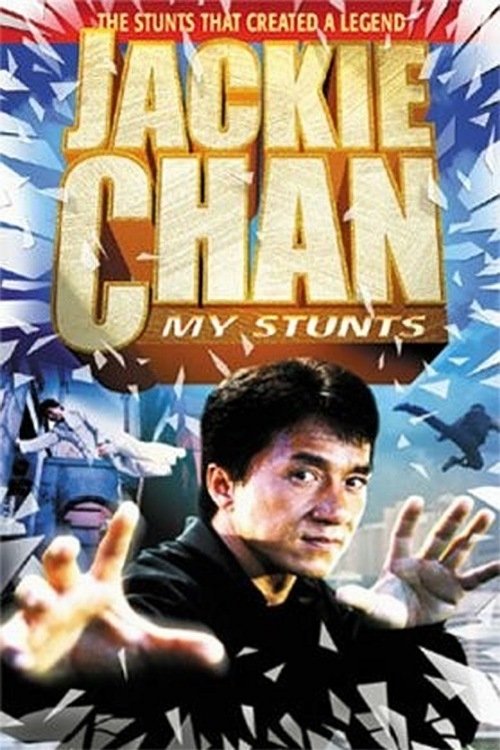 Jackie Chan: My Stunts photo