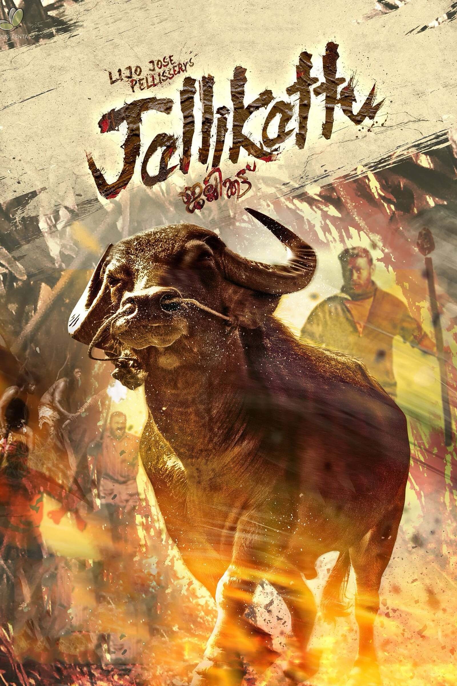Jallikattu photo