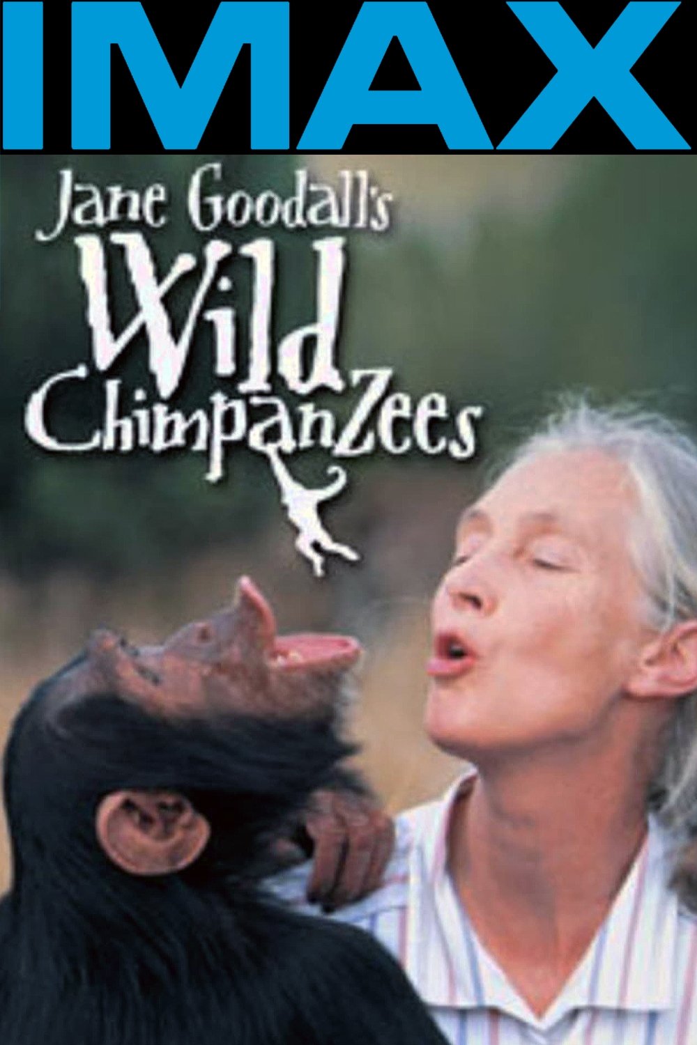 Jane Goodall's Wild Chimpanzees photo