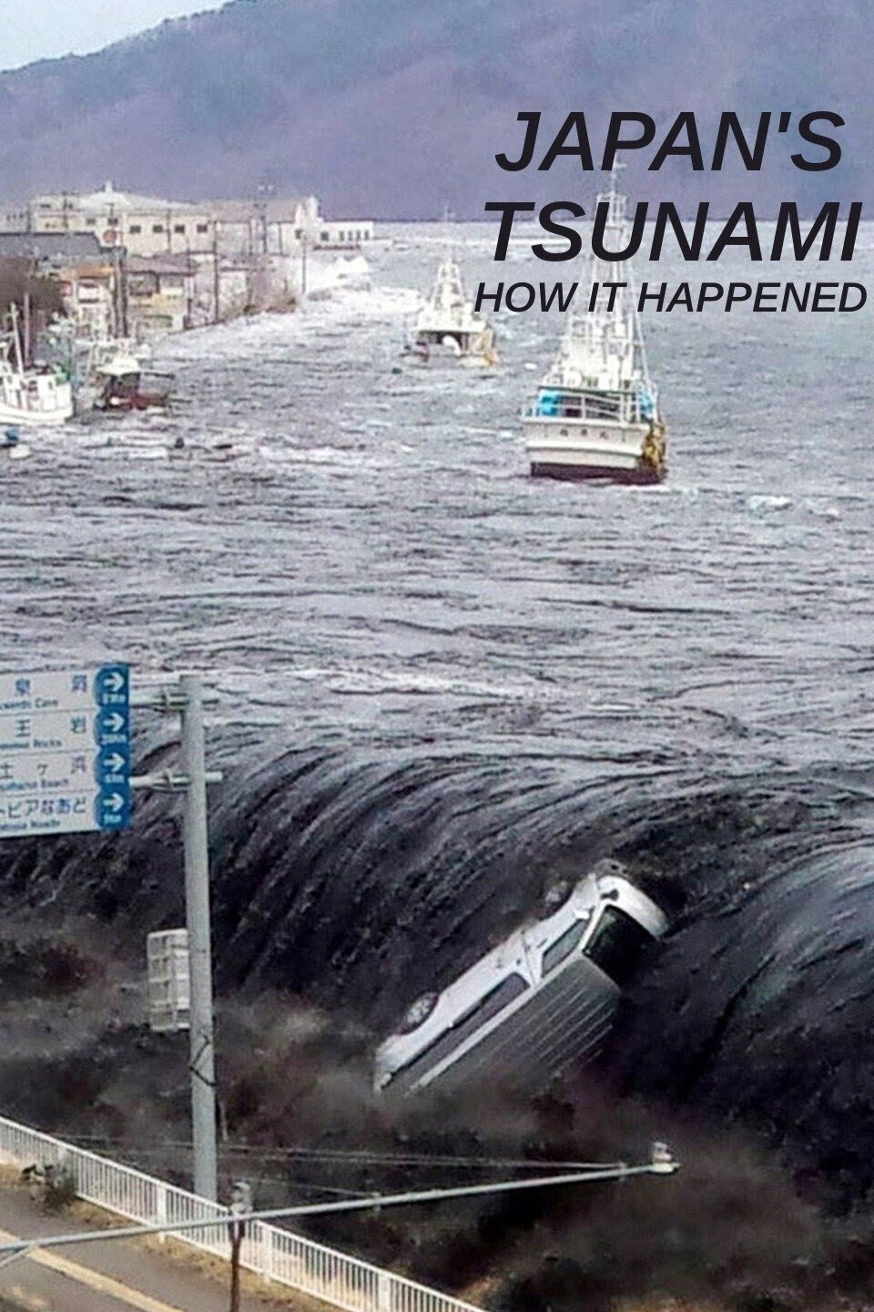 Japan's Tsunami: How It Happened photo