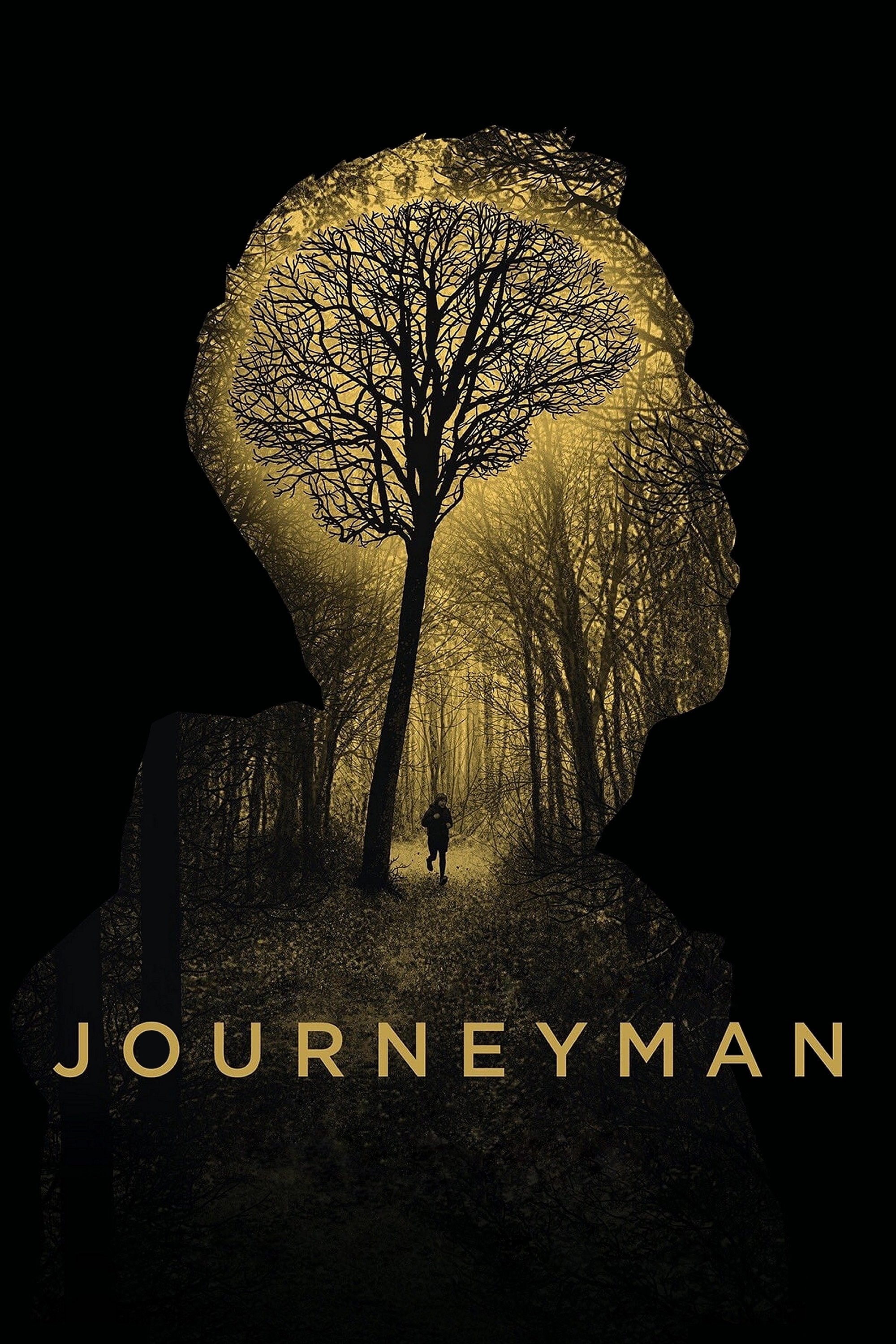 Journeyman photo