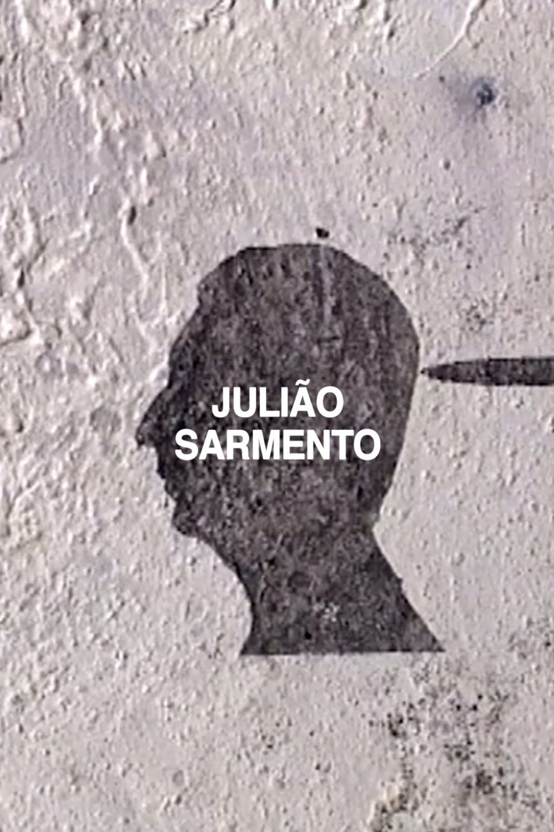 Julião Sarmento photo