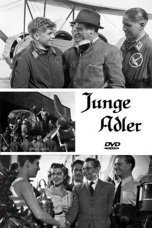 Junge Adler photo