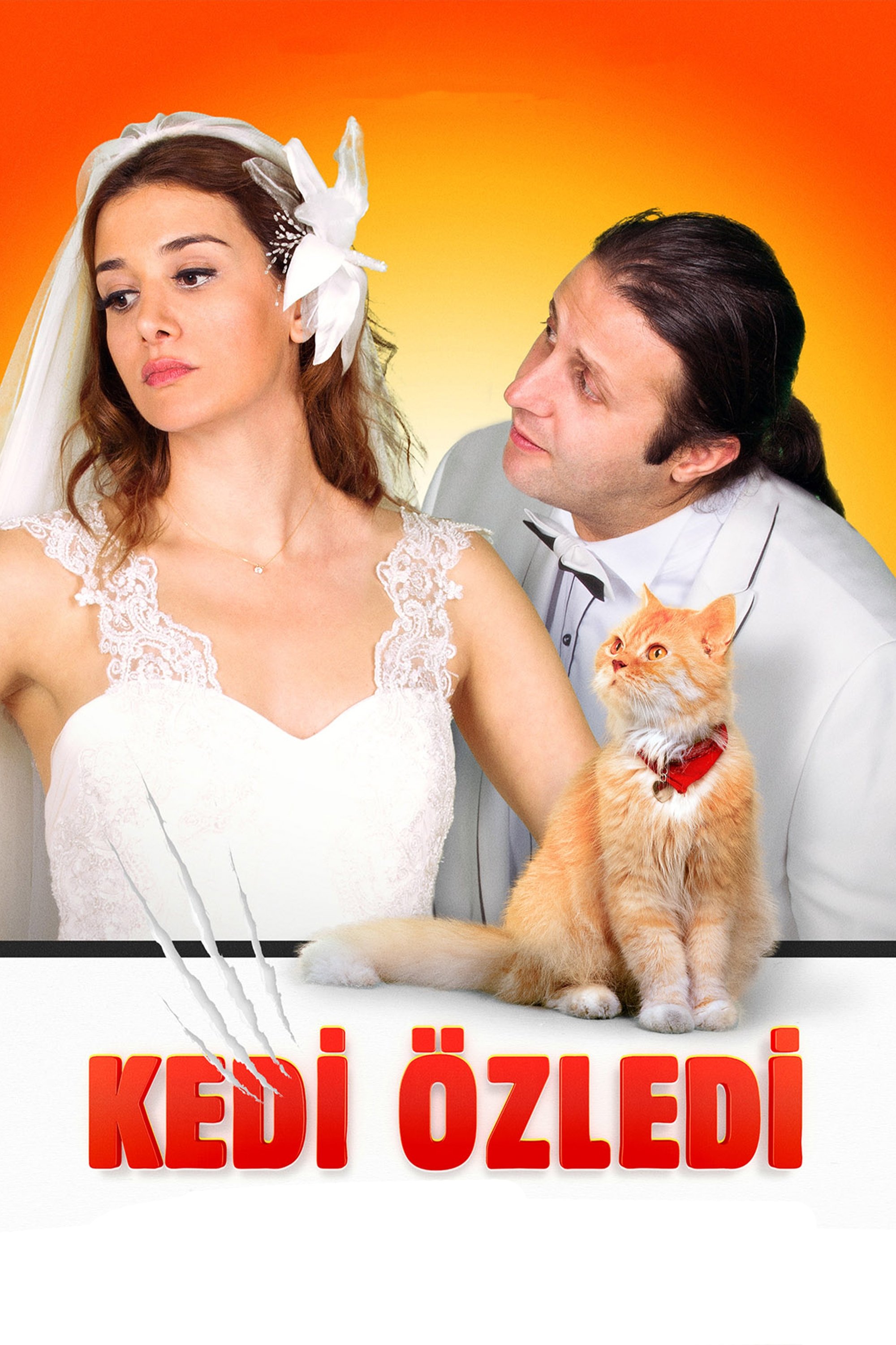 Kedi Özledi photo