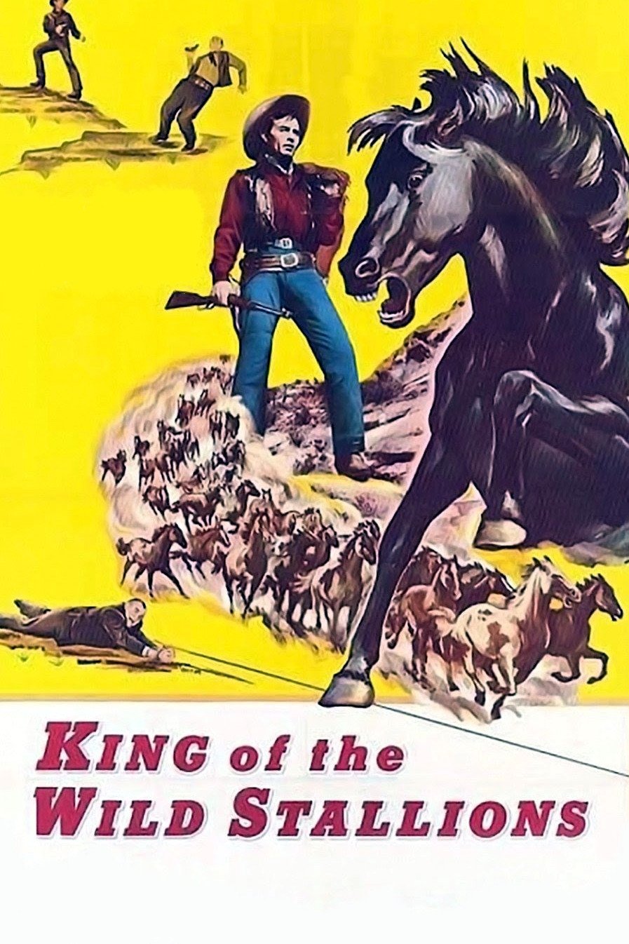King of the Wild Stallions photo