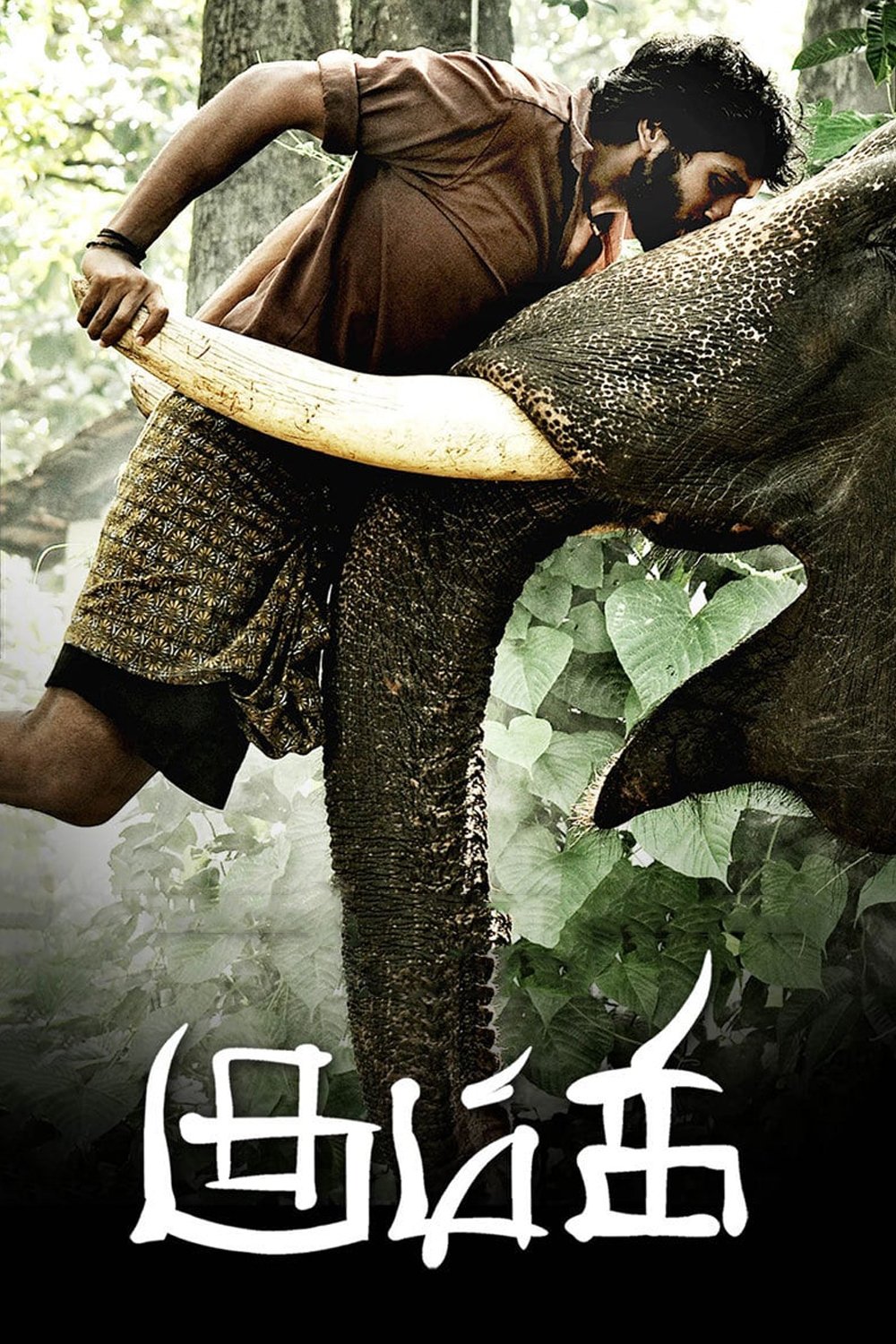 Kumki photo