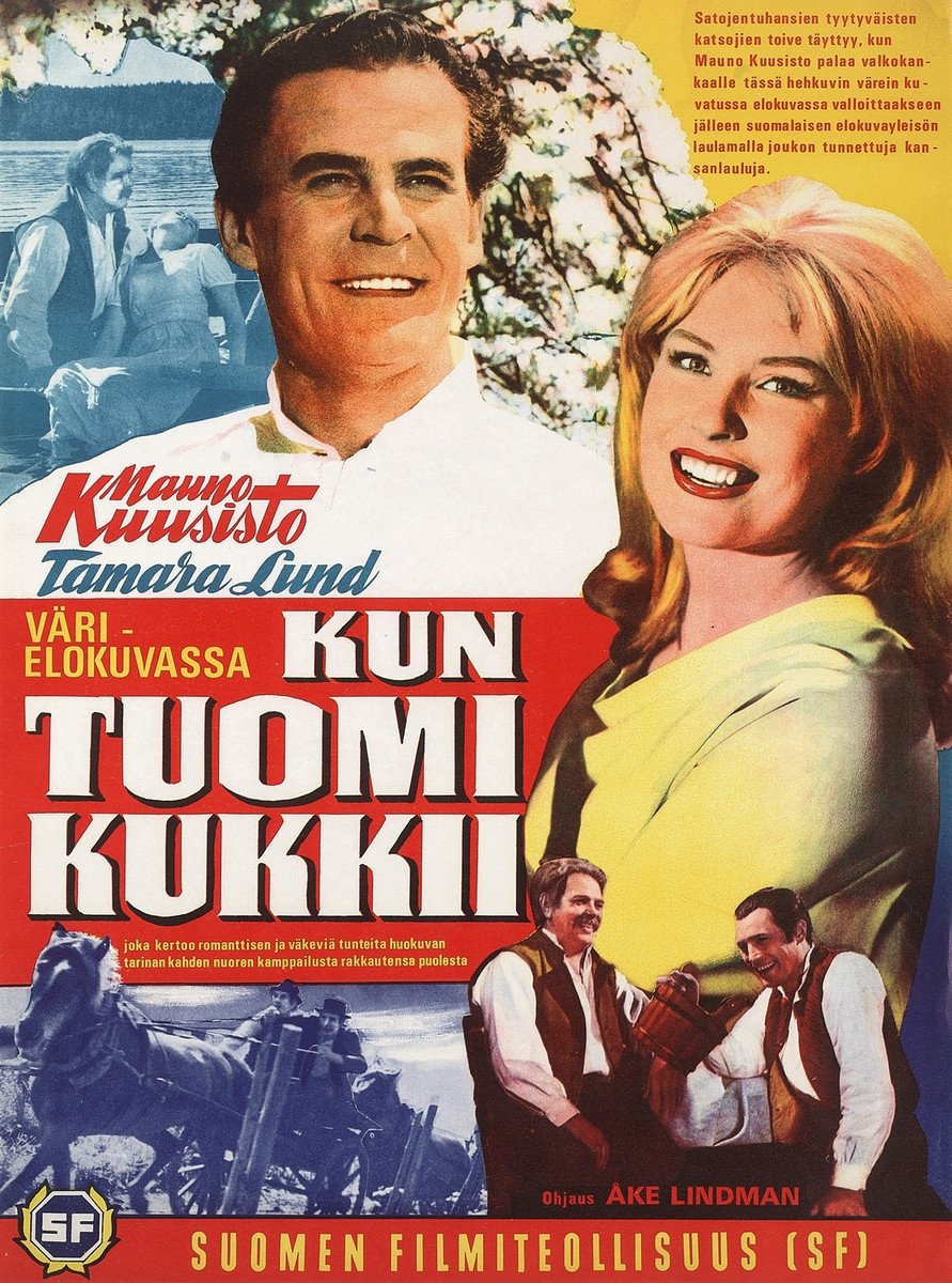 Kun tuomi kukkii photo