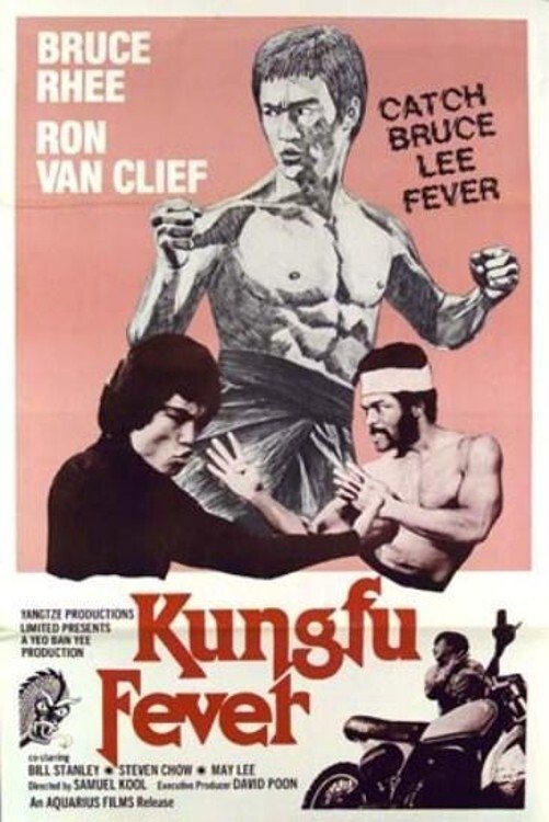Kung Fu Fever photo