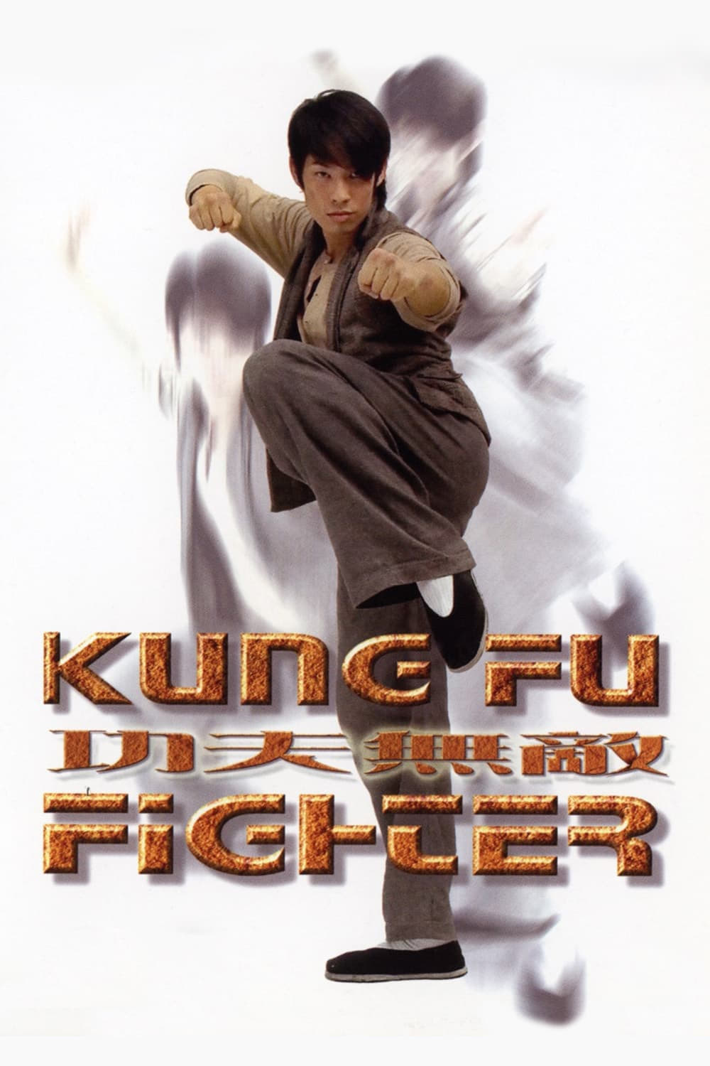 Kung Fu Fighter photo
