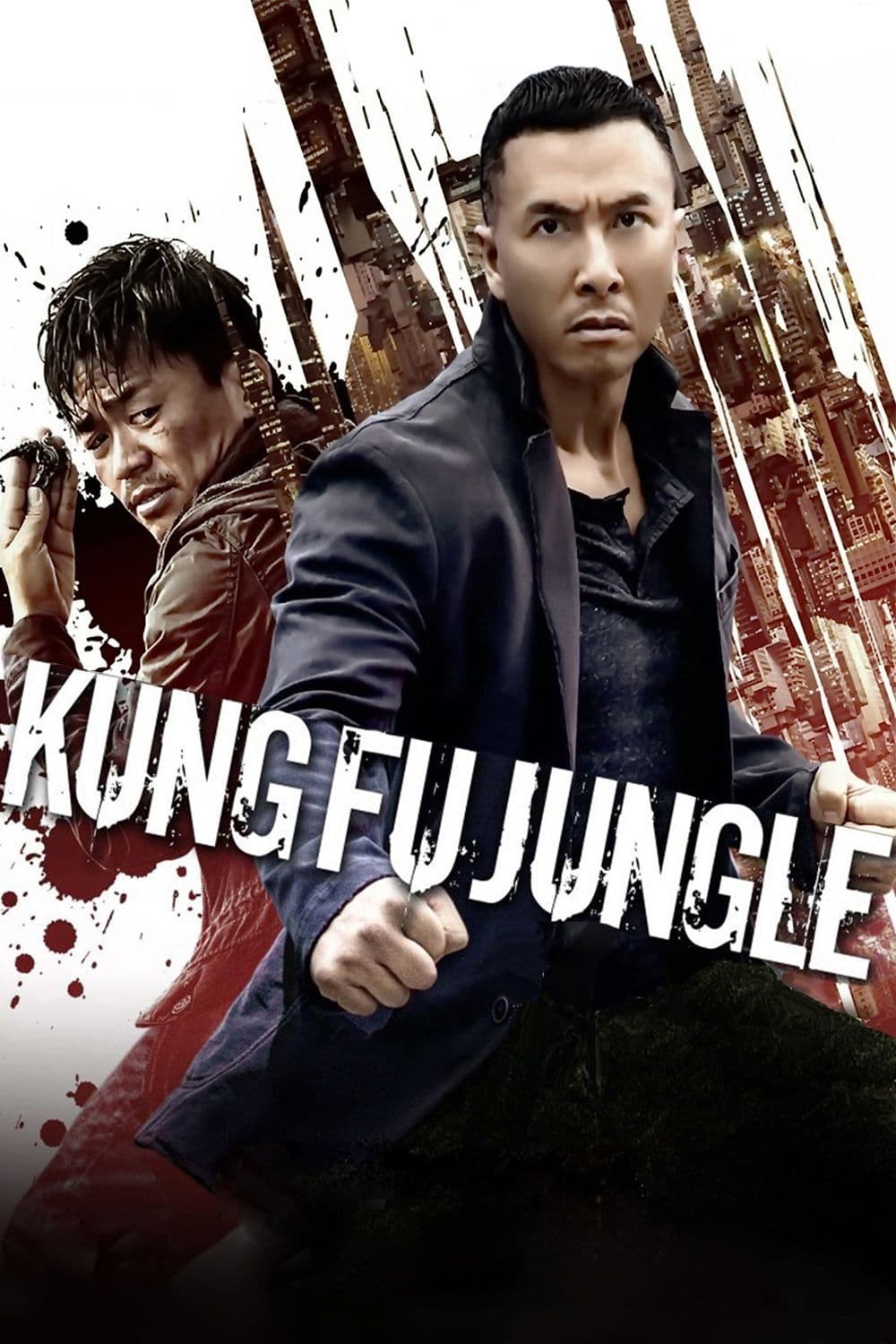 Kung Fu Jungle photo