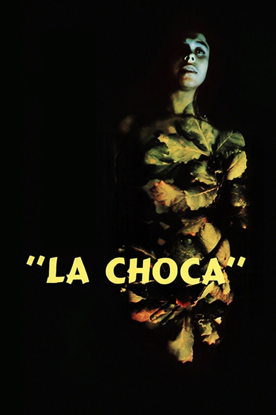 La Choca photo