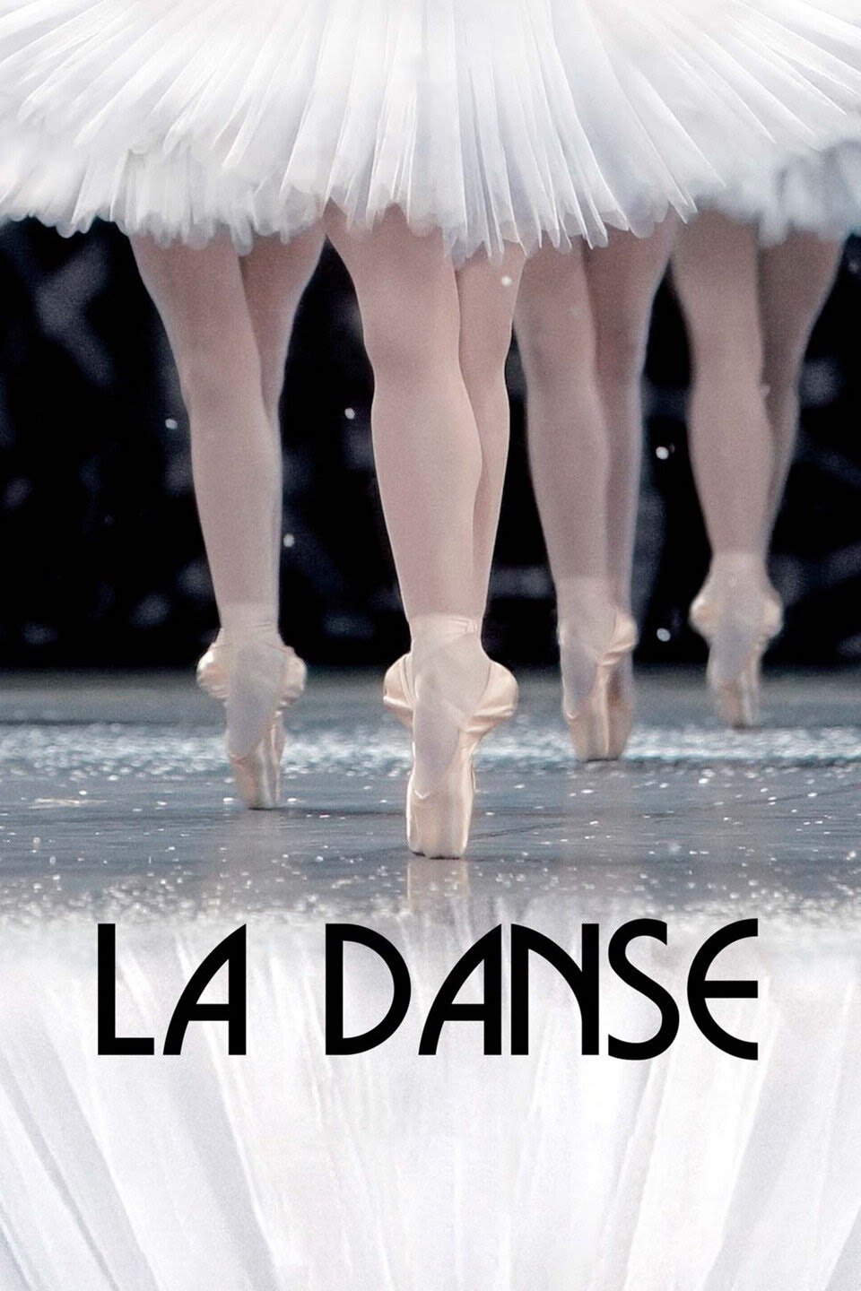 La Danse: The Paris Opera Ballet photo