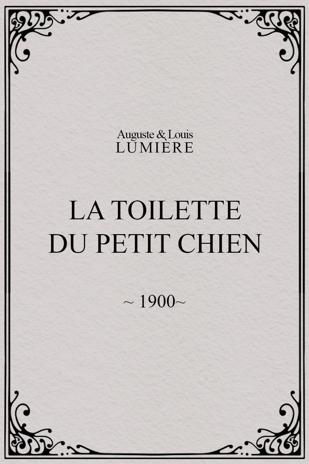 La toilette du petit chien photo