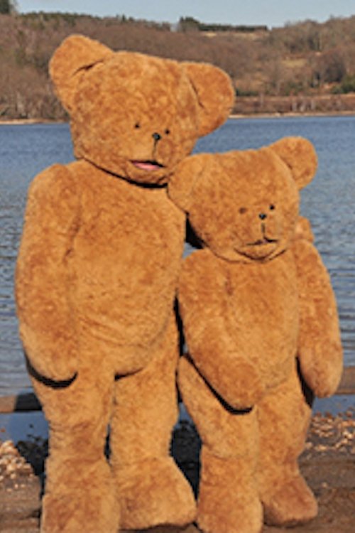 La vie lointaine photo