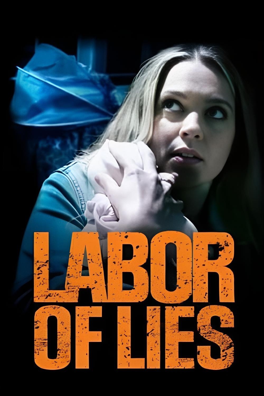 Labor of Lies photo