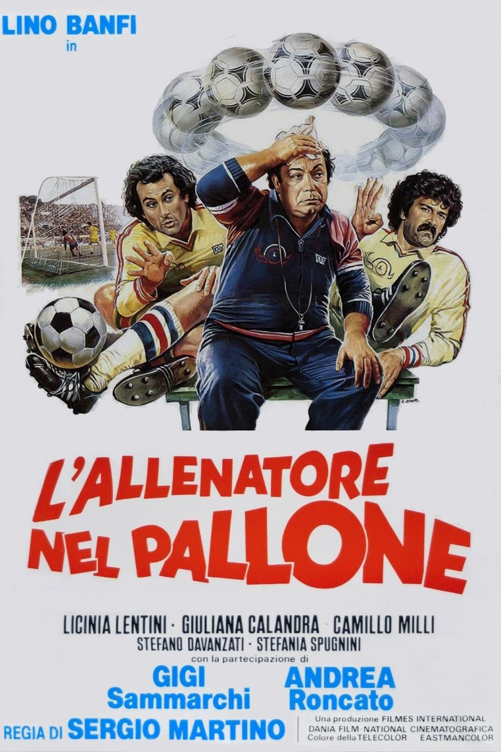 L'allenatore nel pallone photo