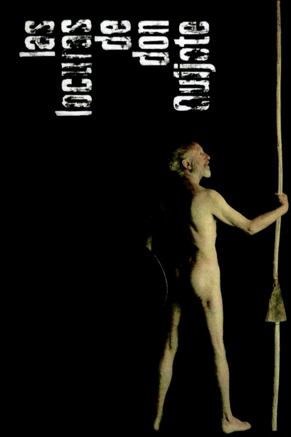 Las locuras de don Quijote photo