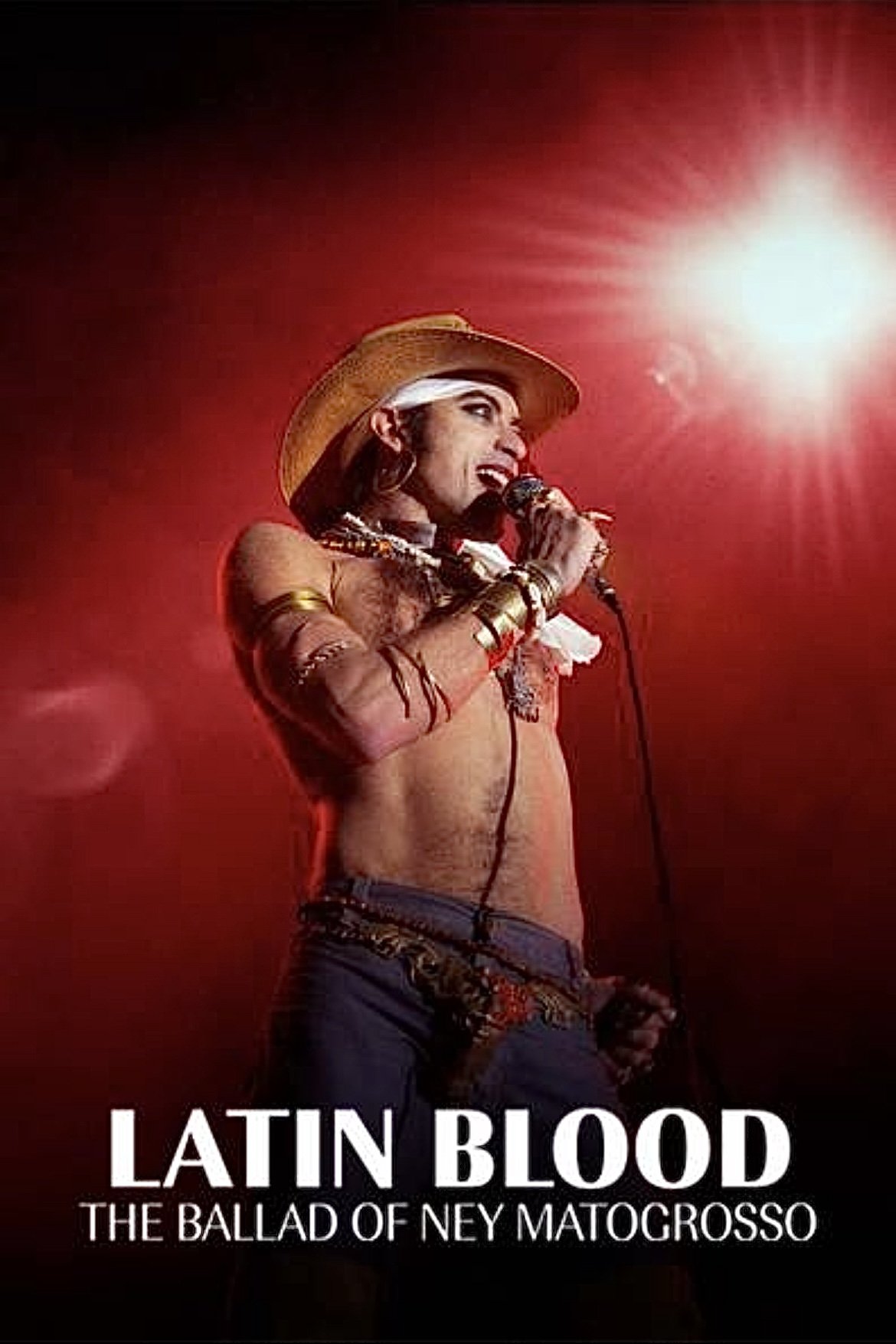 Latin Blood – The Ballad of Ney Matogrosso photo