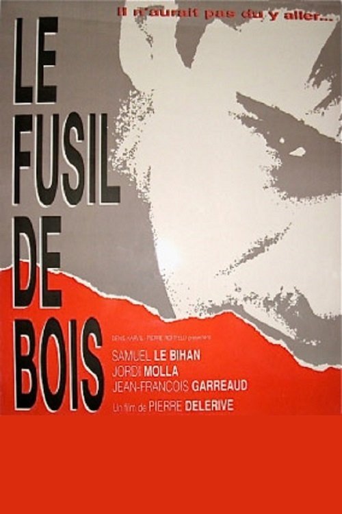Le fusil de bois photo