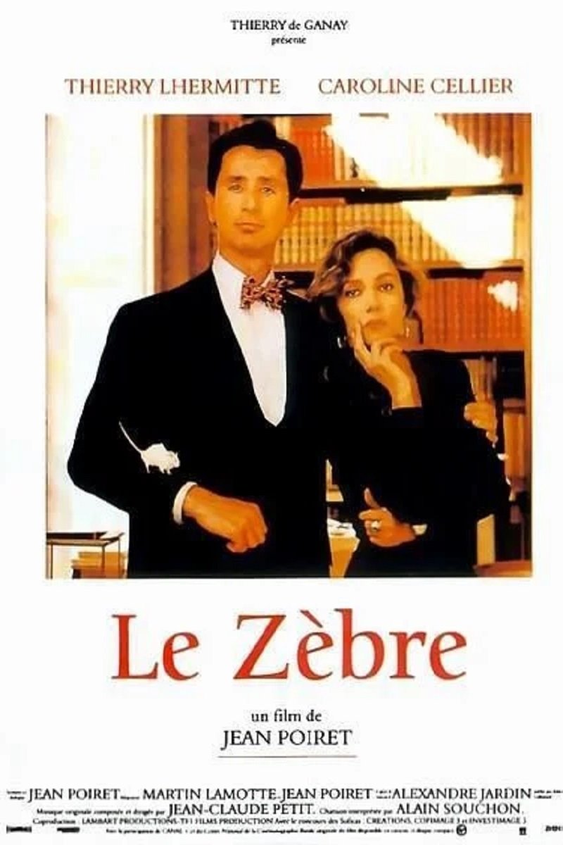 Le Zèbre photo