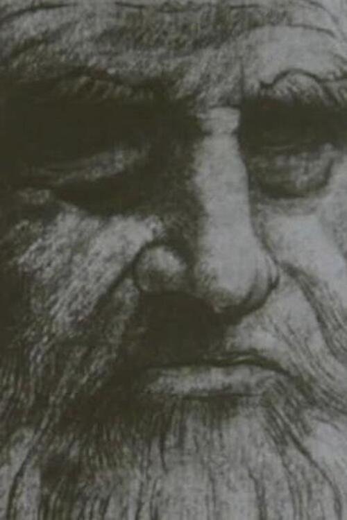 Leonardo Da Vinci The Tragic Pursuit of Perfection photo