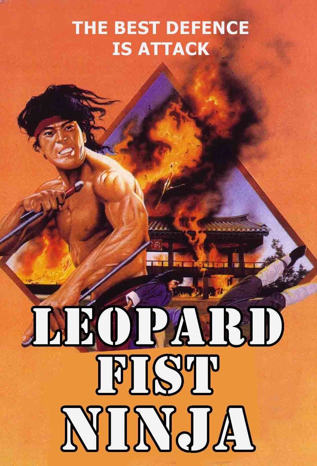 Leopard Fist Ninja photo