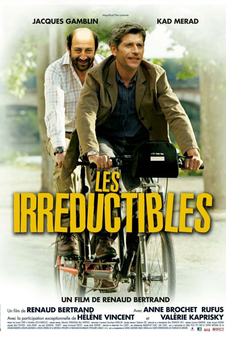 Les Irréductibles photo