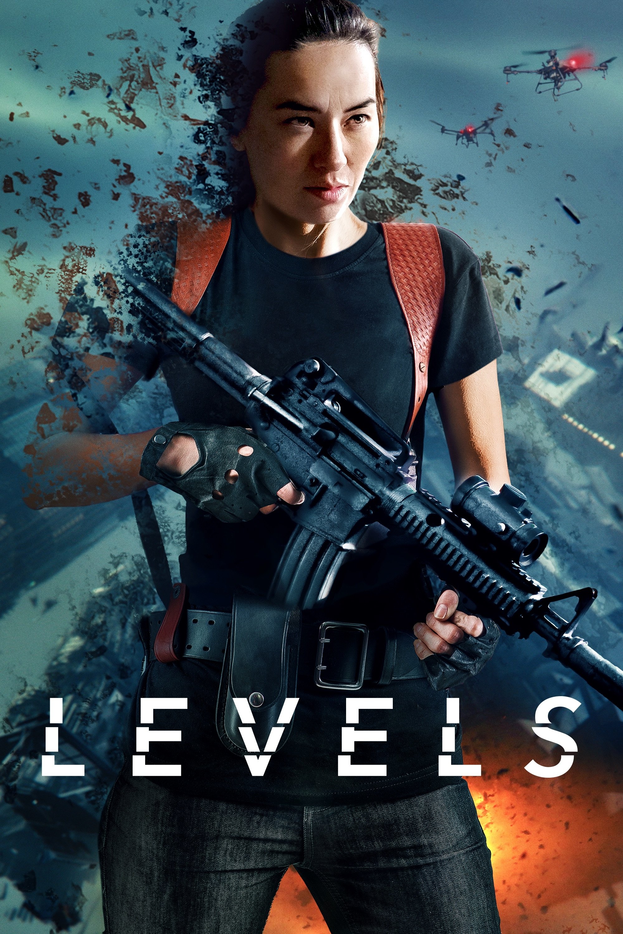 Levels photo