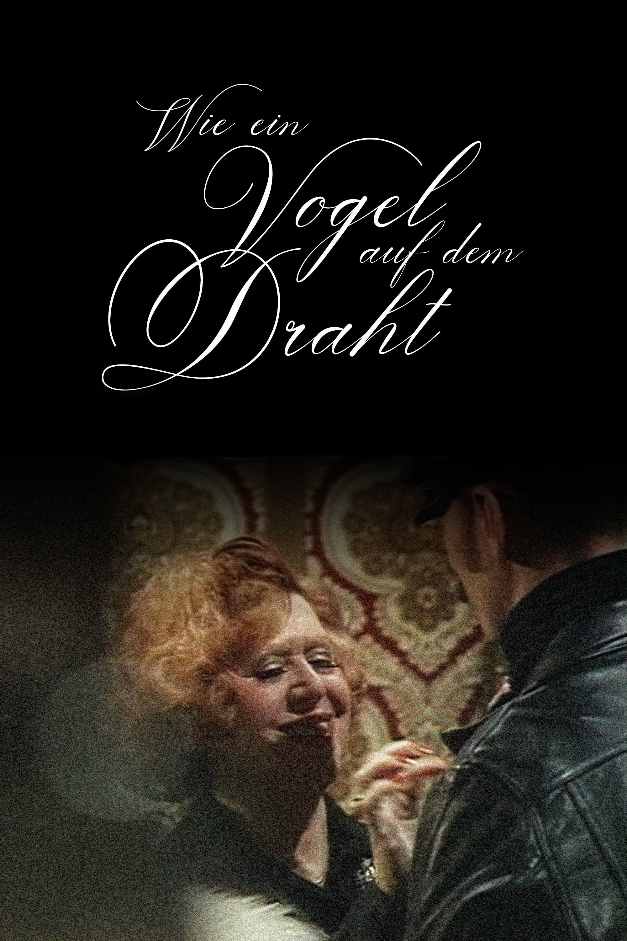 Like a Bird on a Wire photo