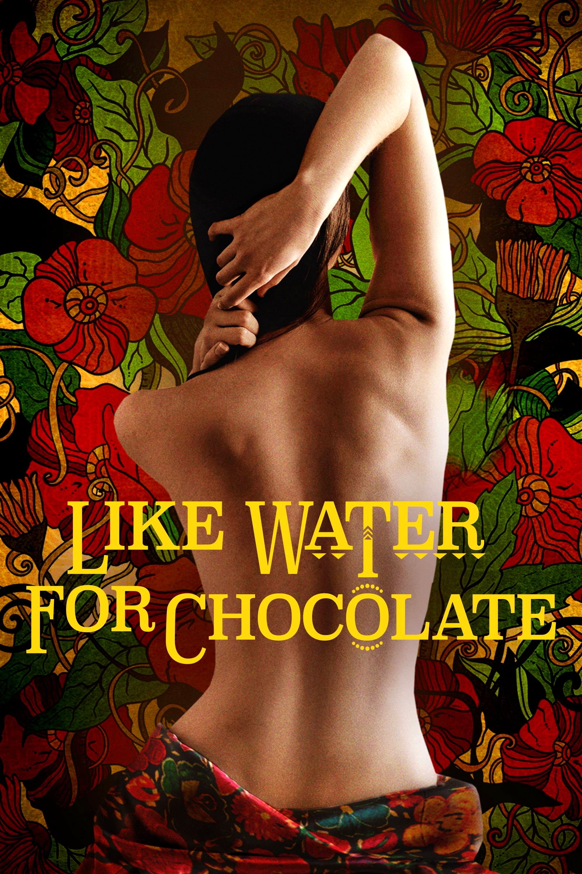 Like Water for Chocolate photo