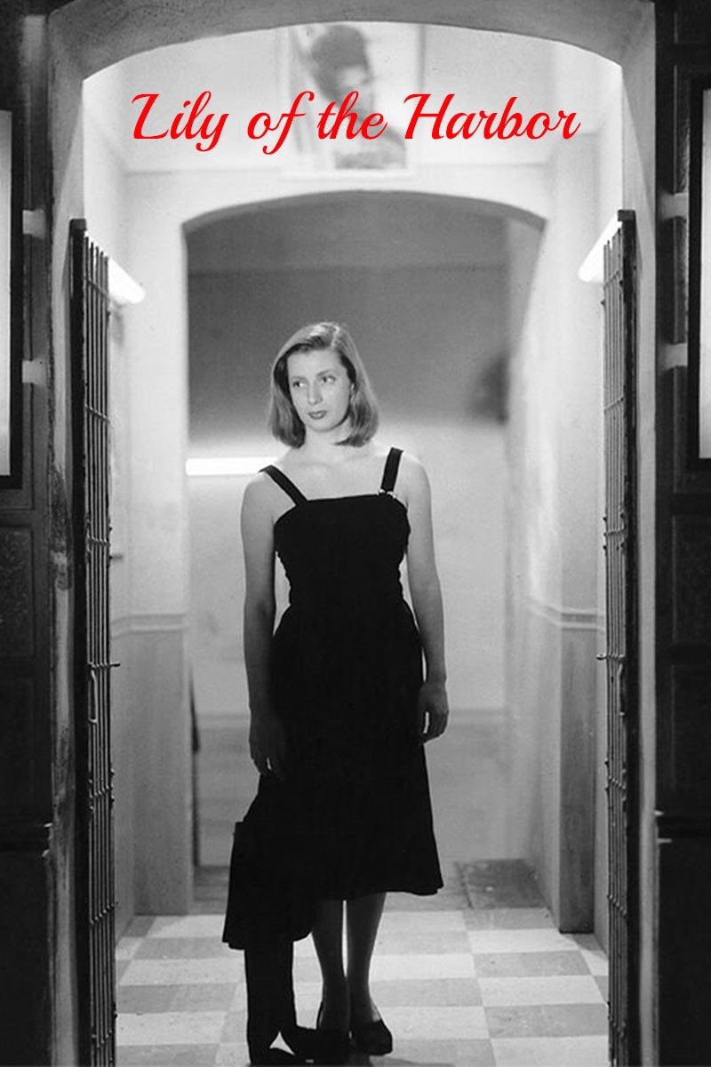 Lily of the Harbor photo