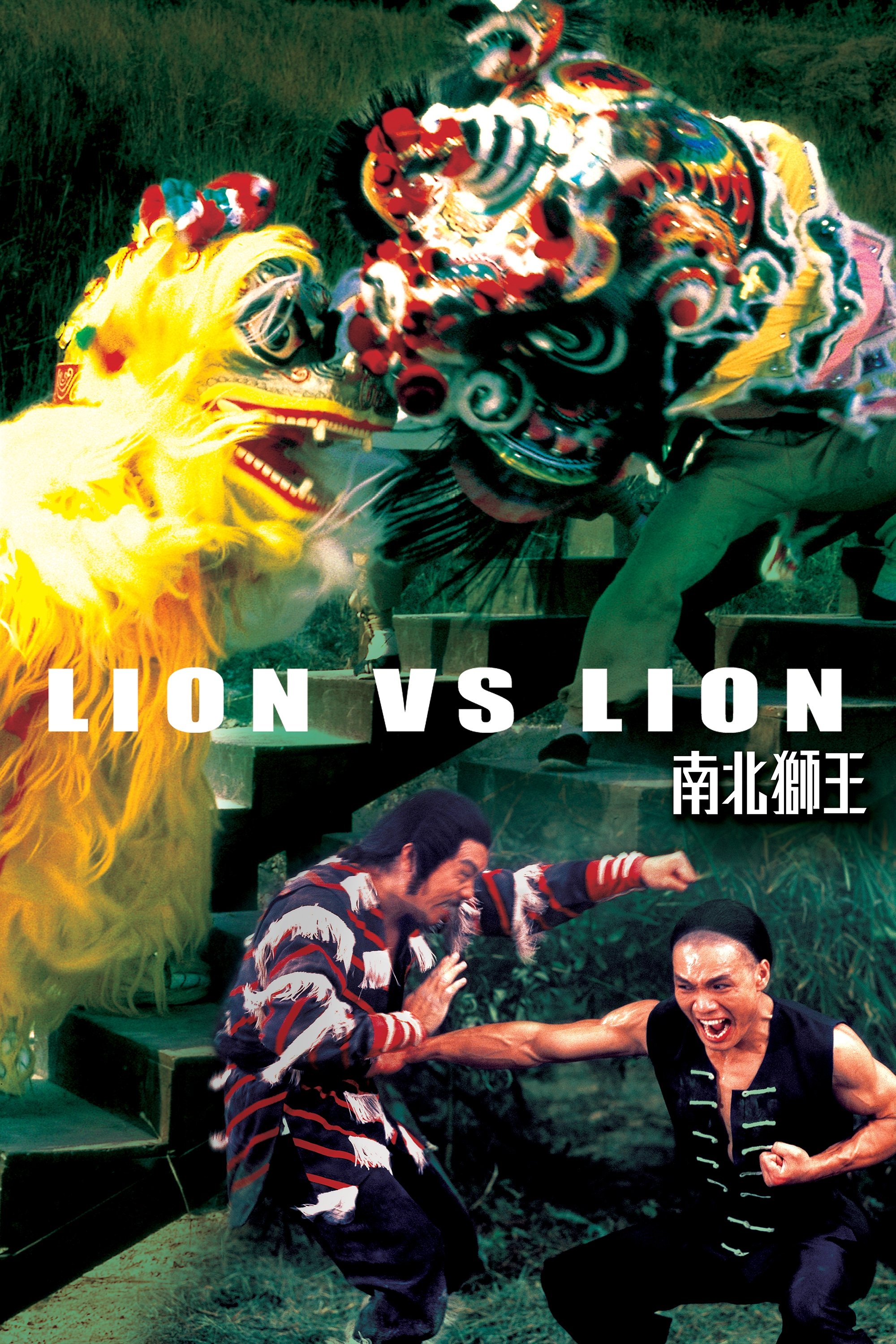 Lion vs. Lion photo