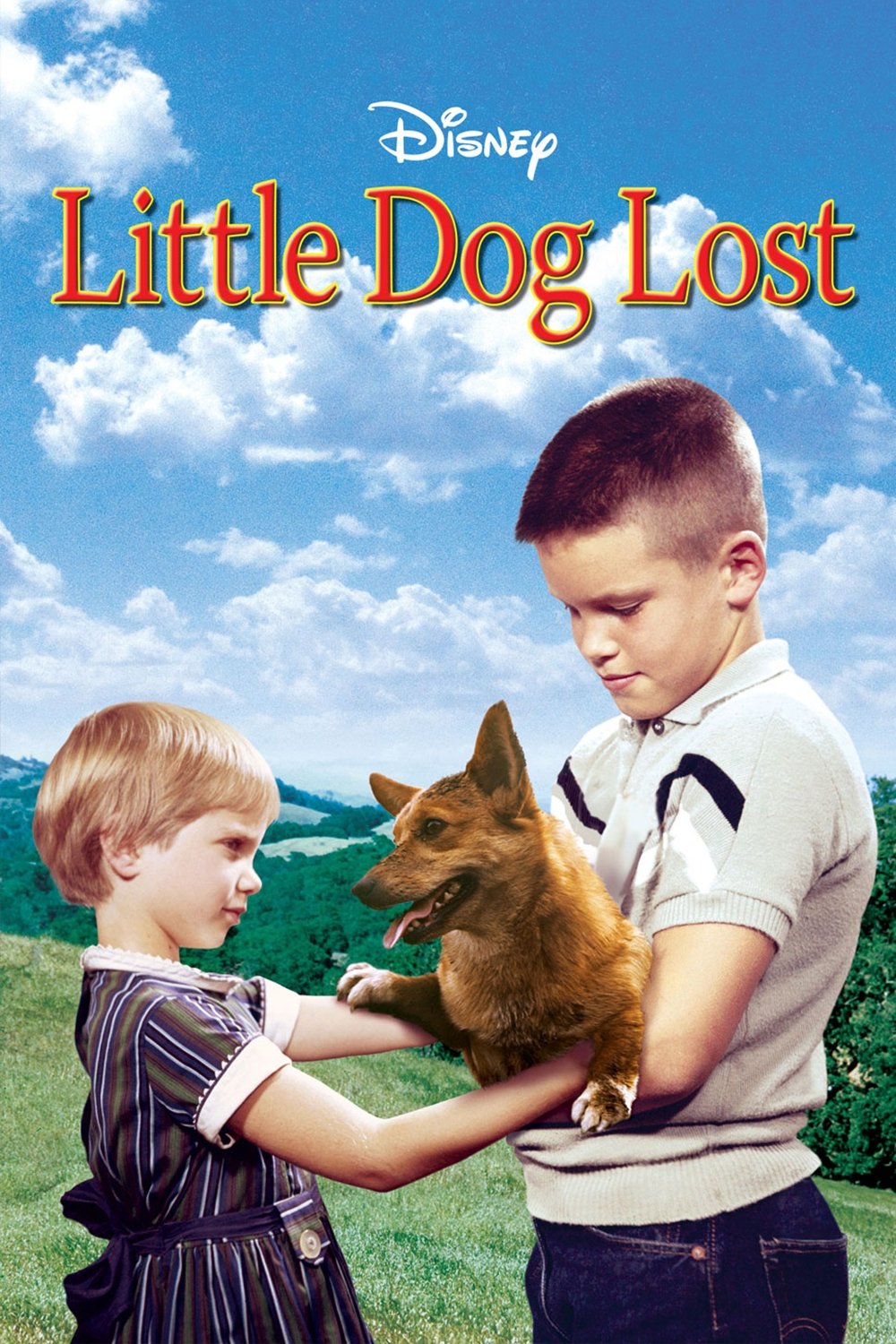 Little Dog Lost photo
