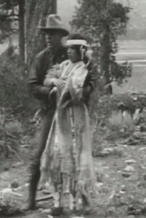 Little Dove's Romance photo