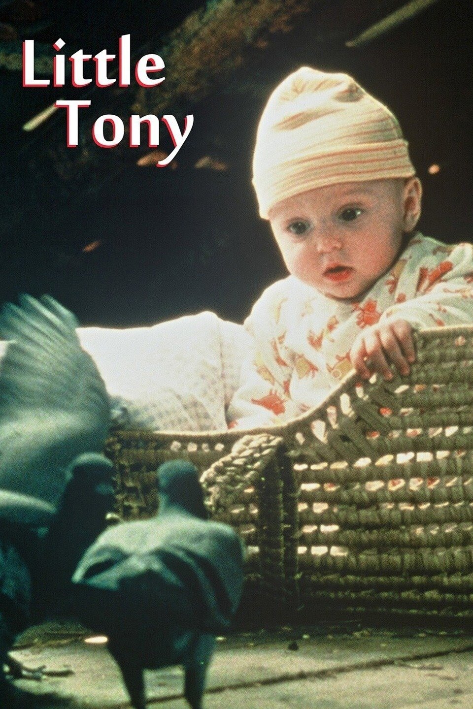 Little Tony photo
