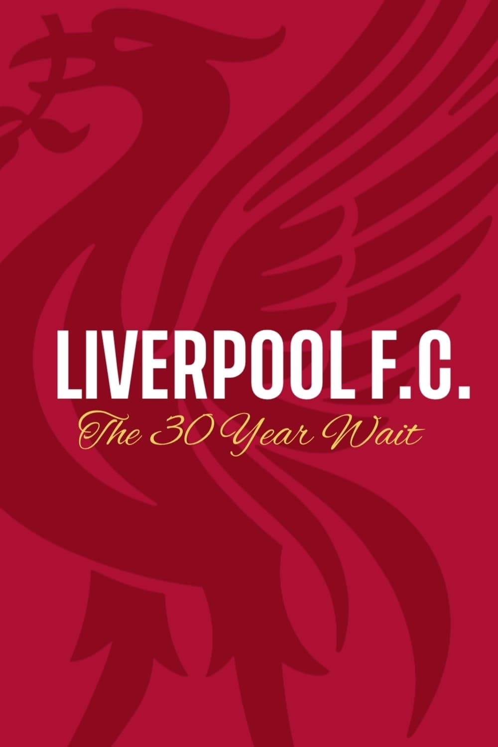 Liverpool FC: The 30 Year Wait photo