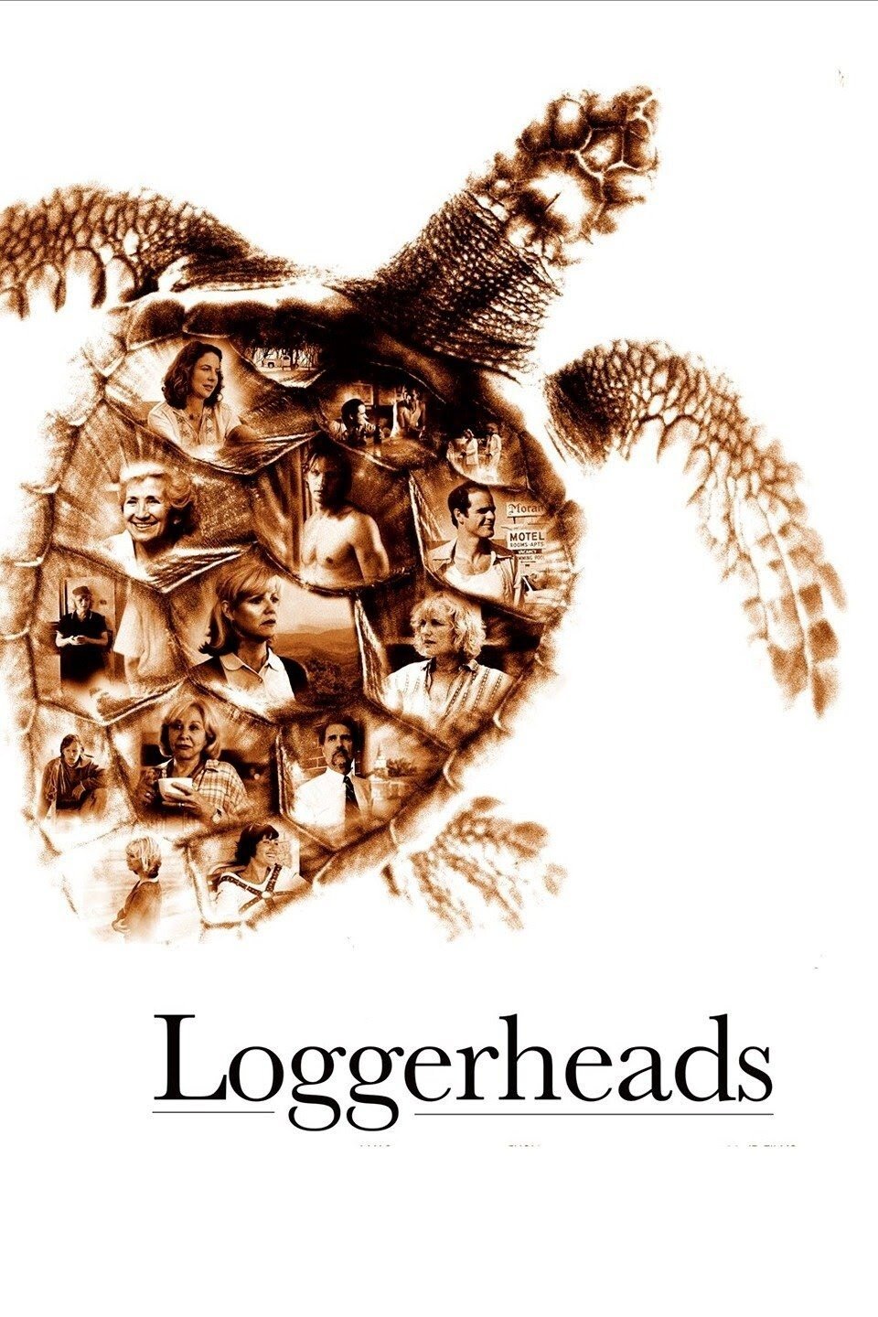 Loggerheads photo